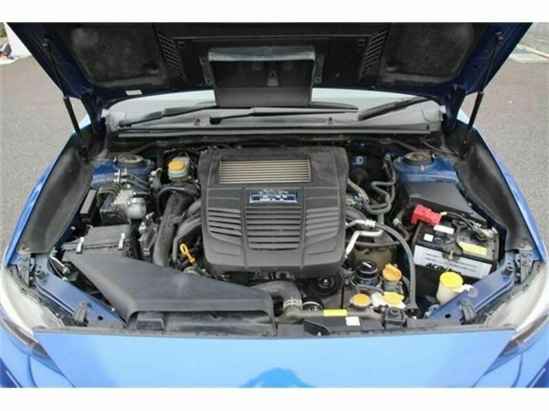 LEVORG-18