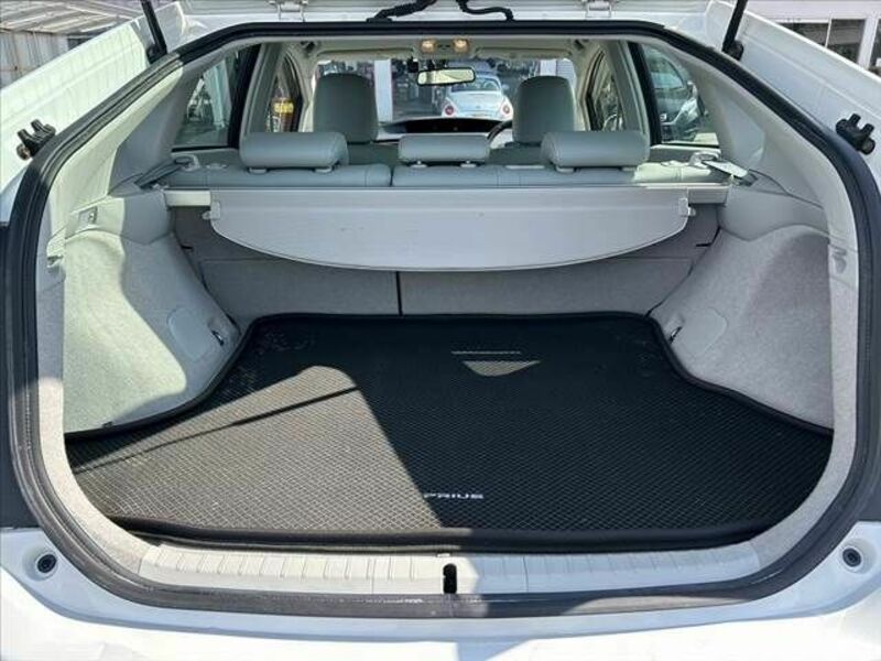 PRIUS-19