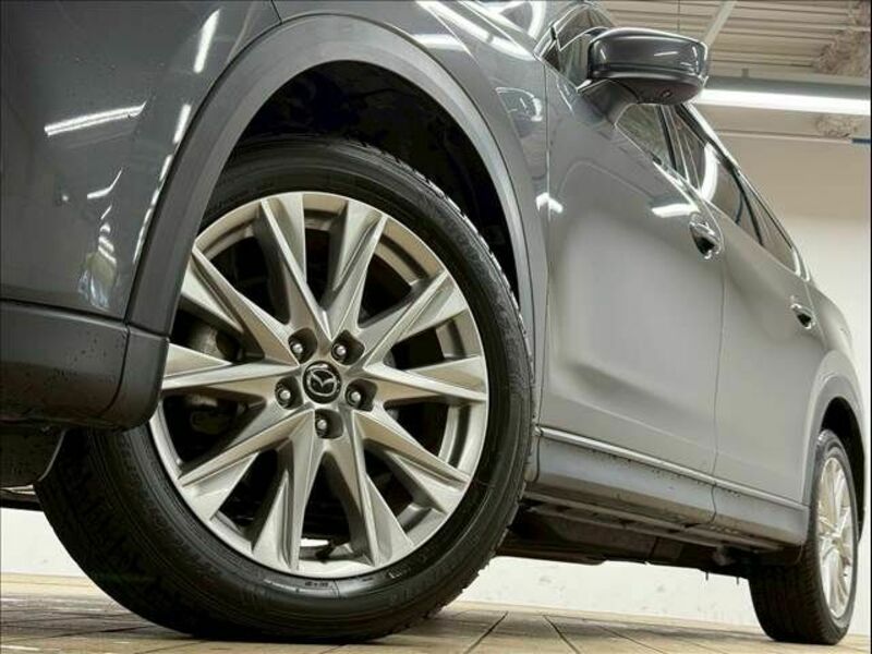 CX-8