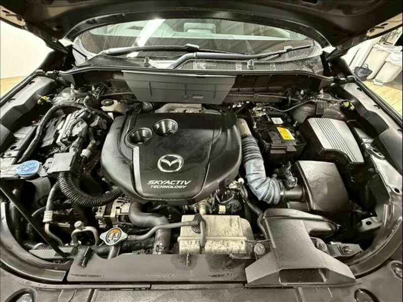 CX-8