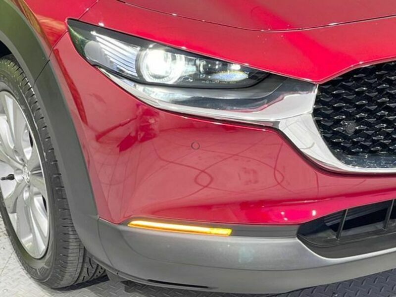 CX-30
