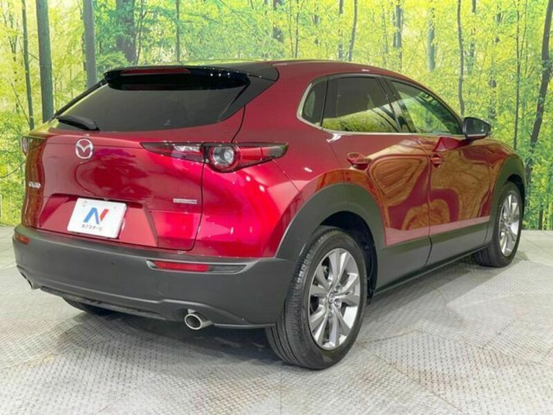 CX-30