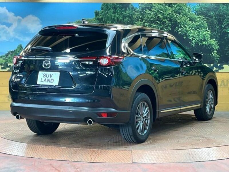 CX-8