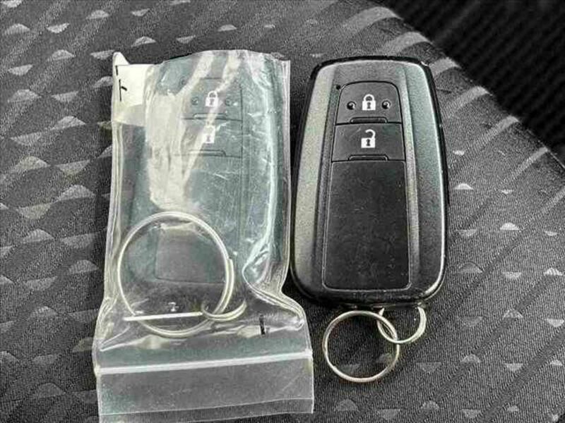 PRIUS-6