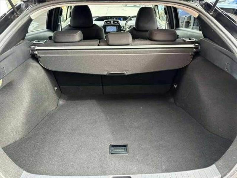 PRIUS-19