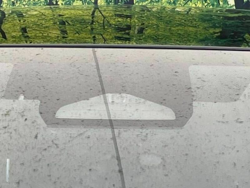 PRIUS-3