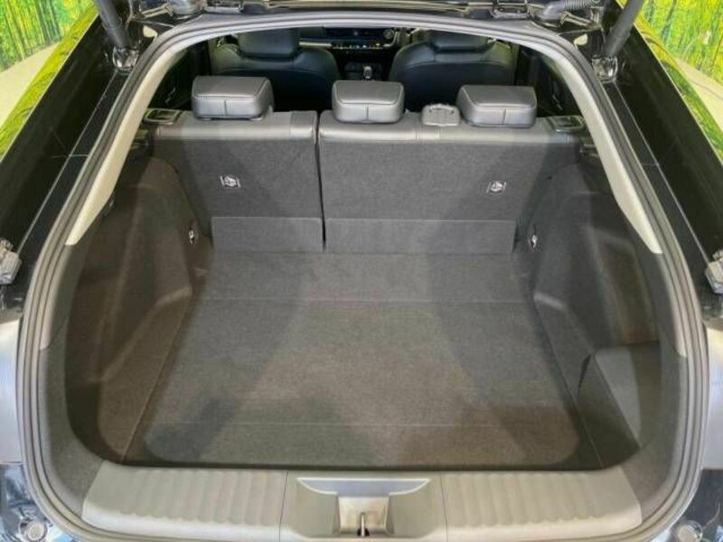 PRIUS-9