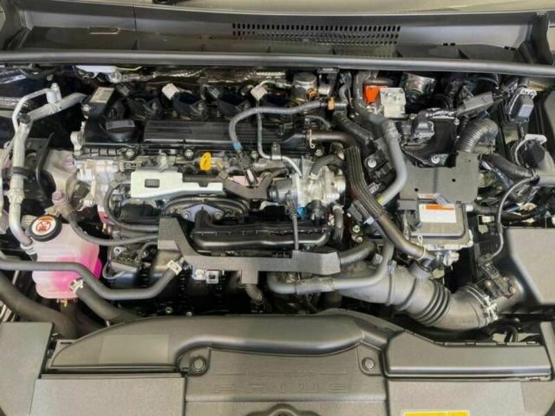 PRIUS-17