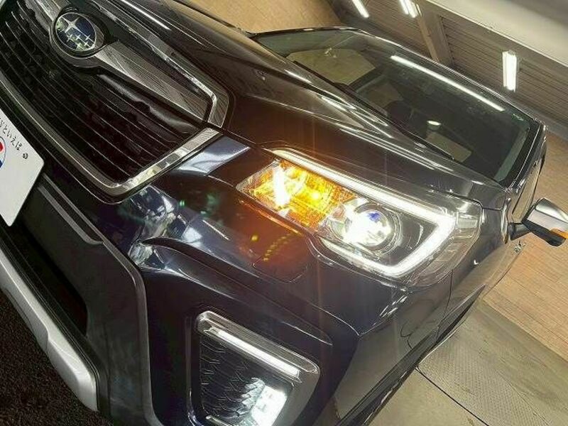 FORESTER-14