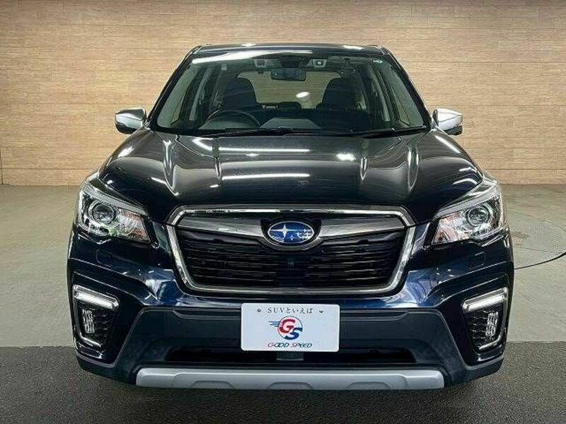 FORESTER-16