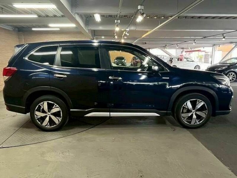 FORESTER-17