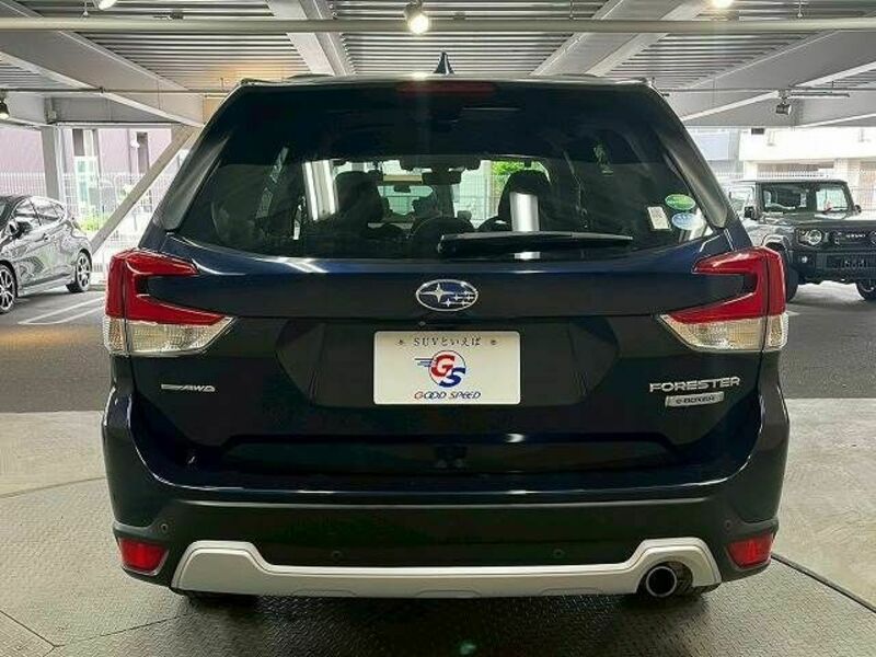 FORESTER-18