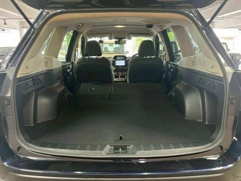 FORESTER-19