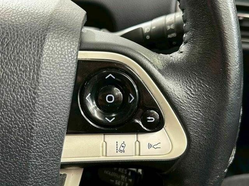 PRIUS-6
