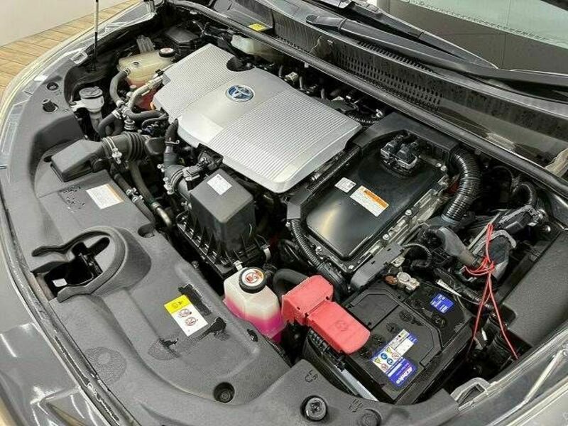 PRIUS-17