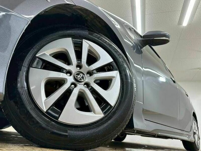 PRIUS-18
