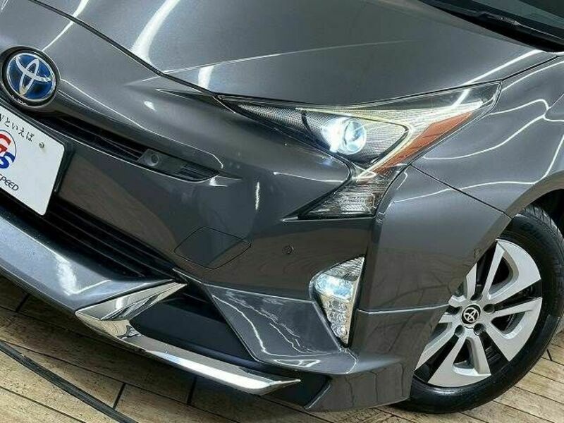 PRIUS-19
