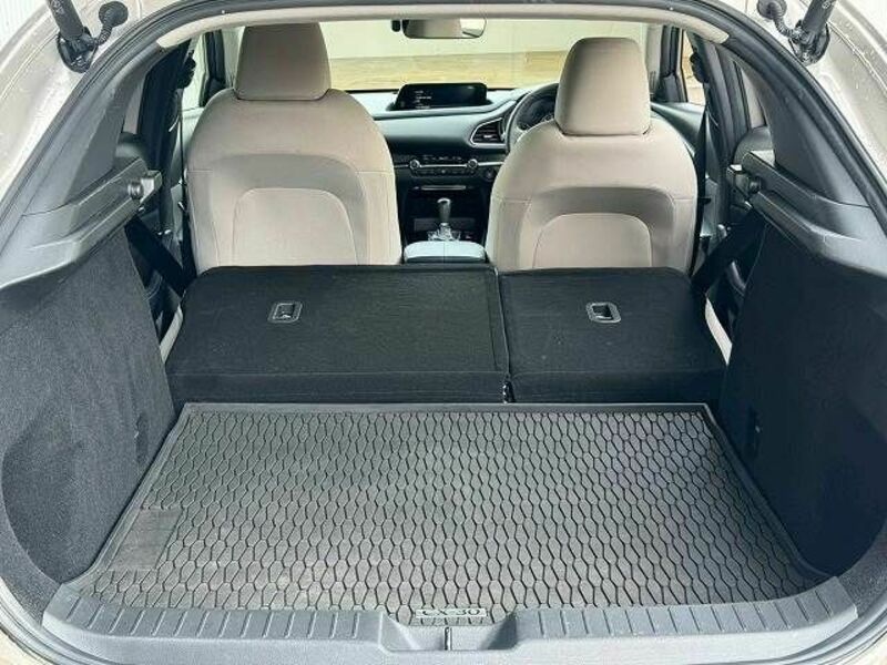 CX-30