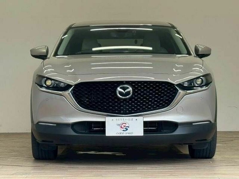 CX-30