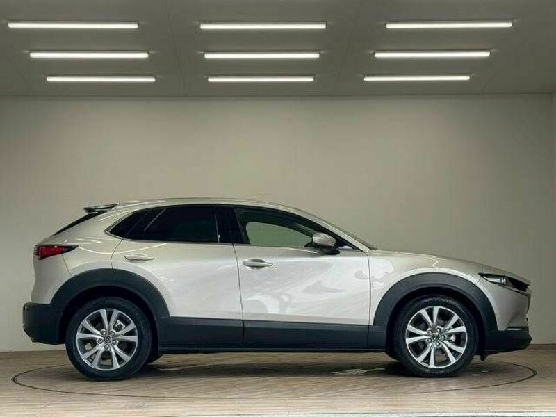 CX-30