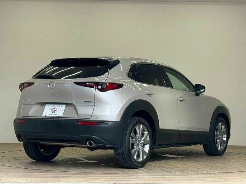 CX-30