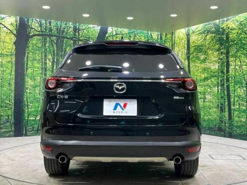 CX-8
