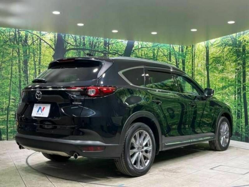 CX-8
