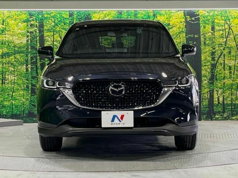 CX-8-13