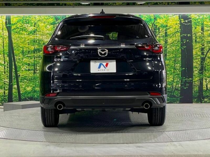 CX-8-14