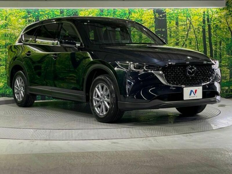 CX-8-15