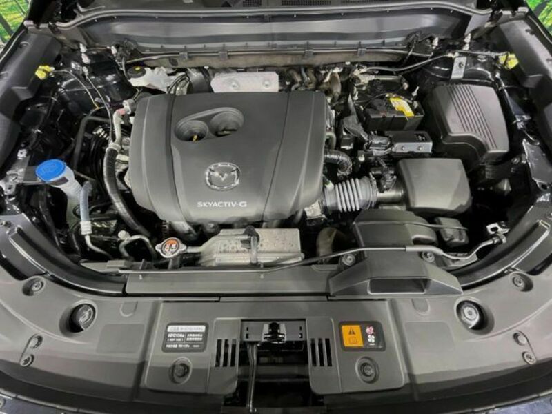 CX-8-17
