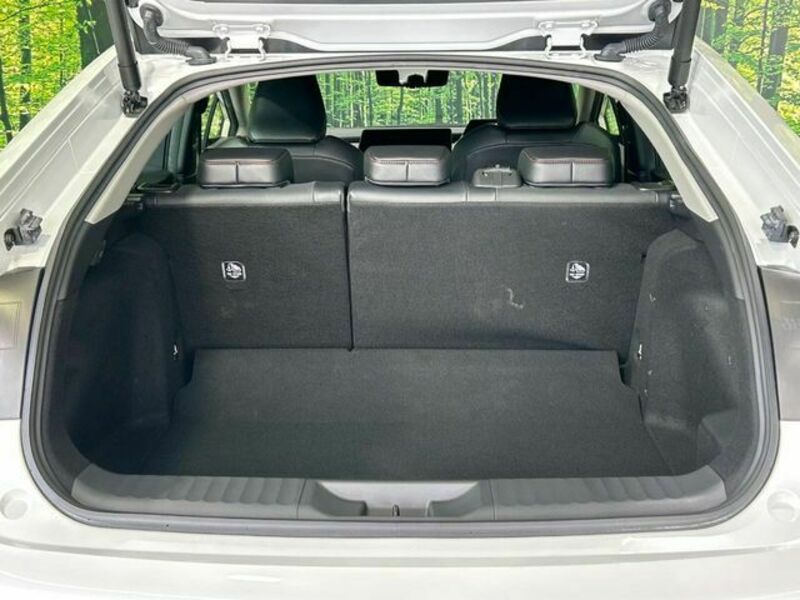 PRIUS-9