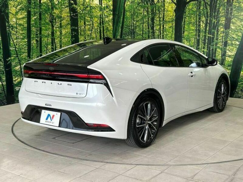 PRIUS-16