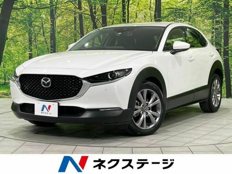 CX-30-0