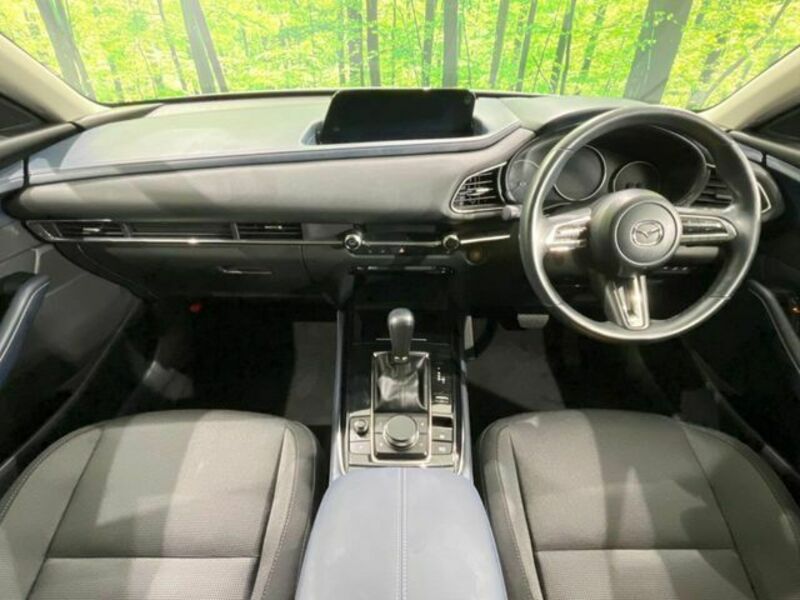 CX-30