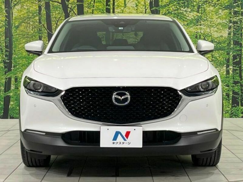 CX-30