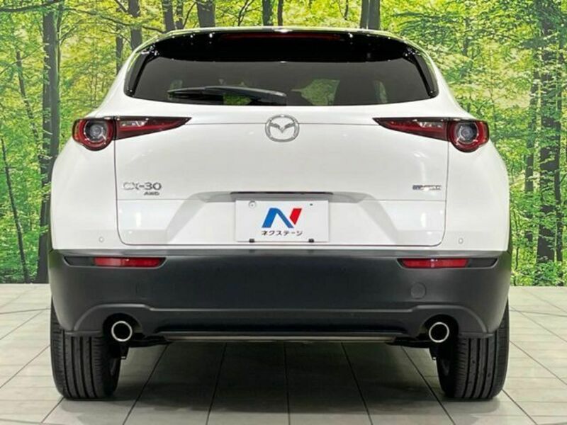 CX-30