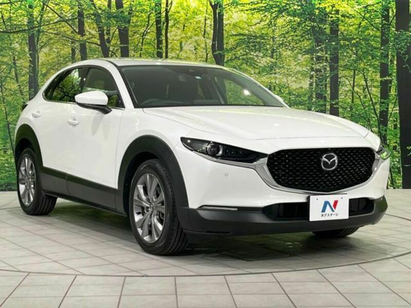 CX-30