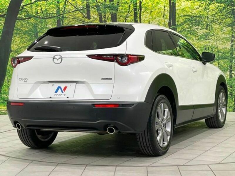 CX-30