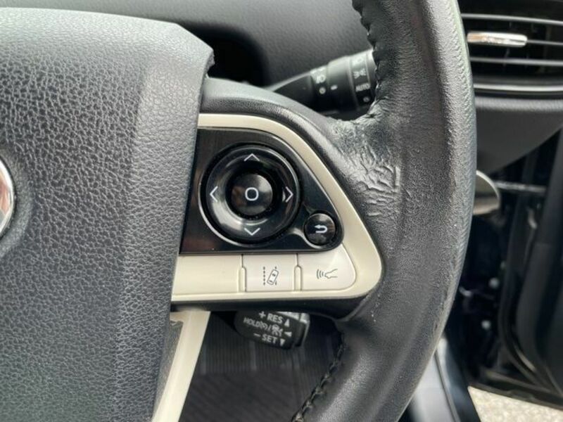 PRIUS-15