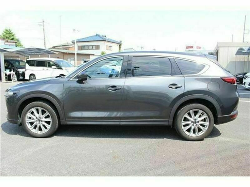 CX-8