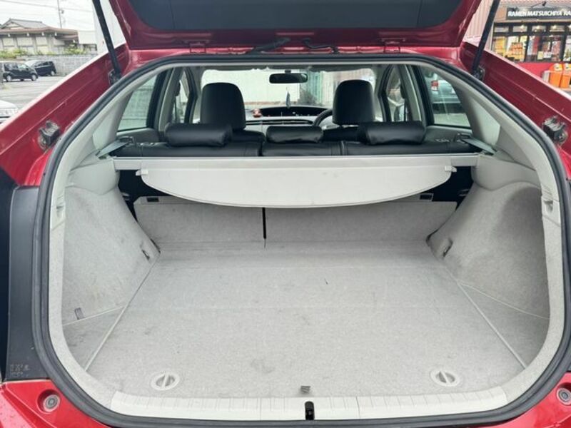 PRIUS-13