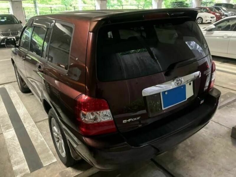 KLUGER HYBRID-8