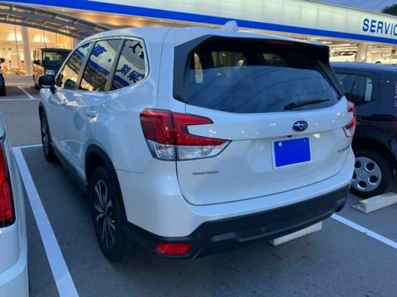 FORESTER-1