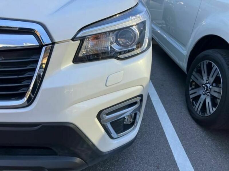 FORESTER-2