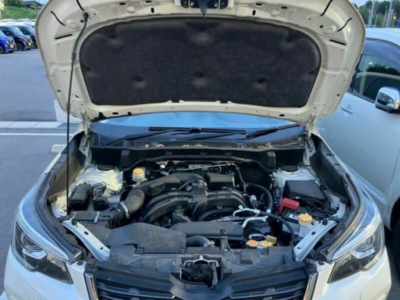 FORESTER-4