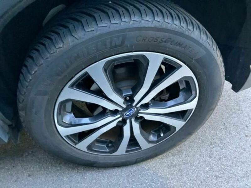 FORESTER-5