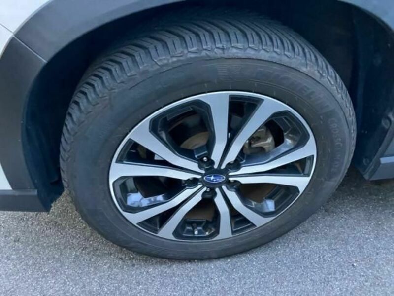 FORESTER-6