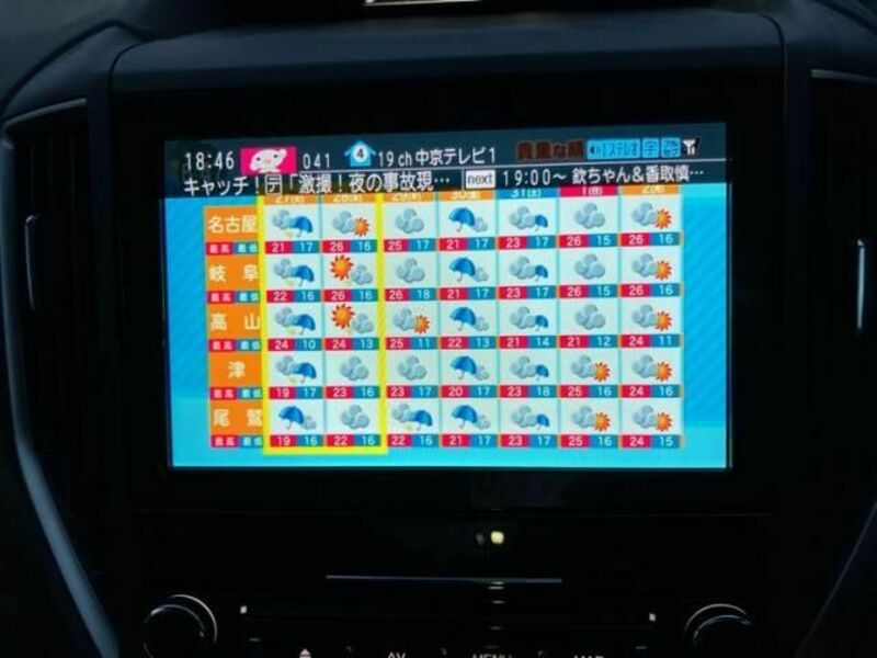 FORESTER-25