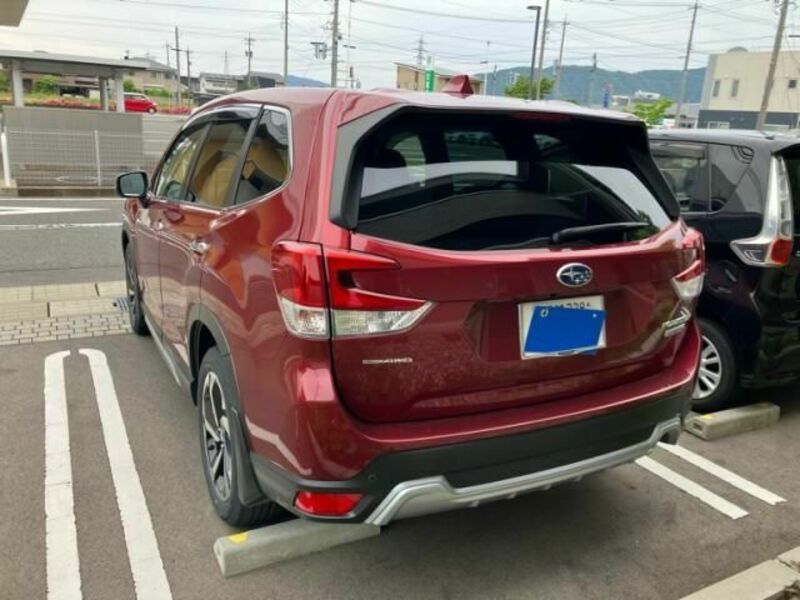FORESTER
